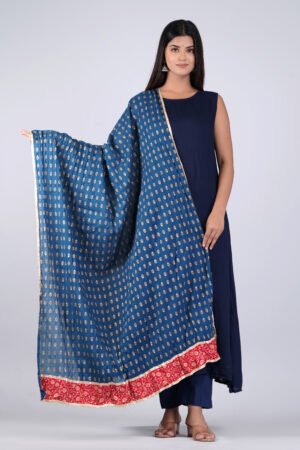 Blue and red ethnic motifs printed dupatta with printed border